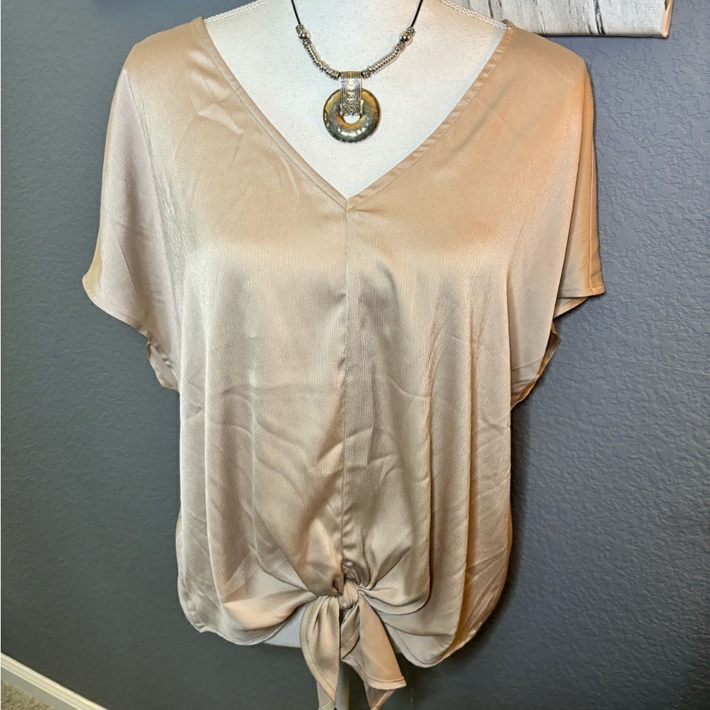 Modern Works V-neck Wide Sleeve Tie Front Blouse